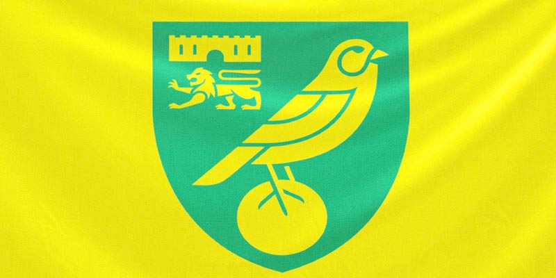 Discover the Untold Journey of Norwich City FC