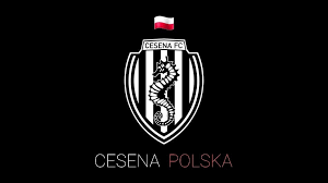 The Challenges Ahead Navigating Modern Football FC Cesena