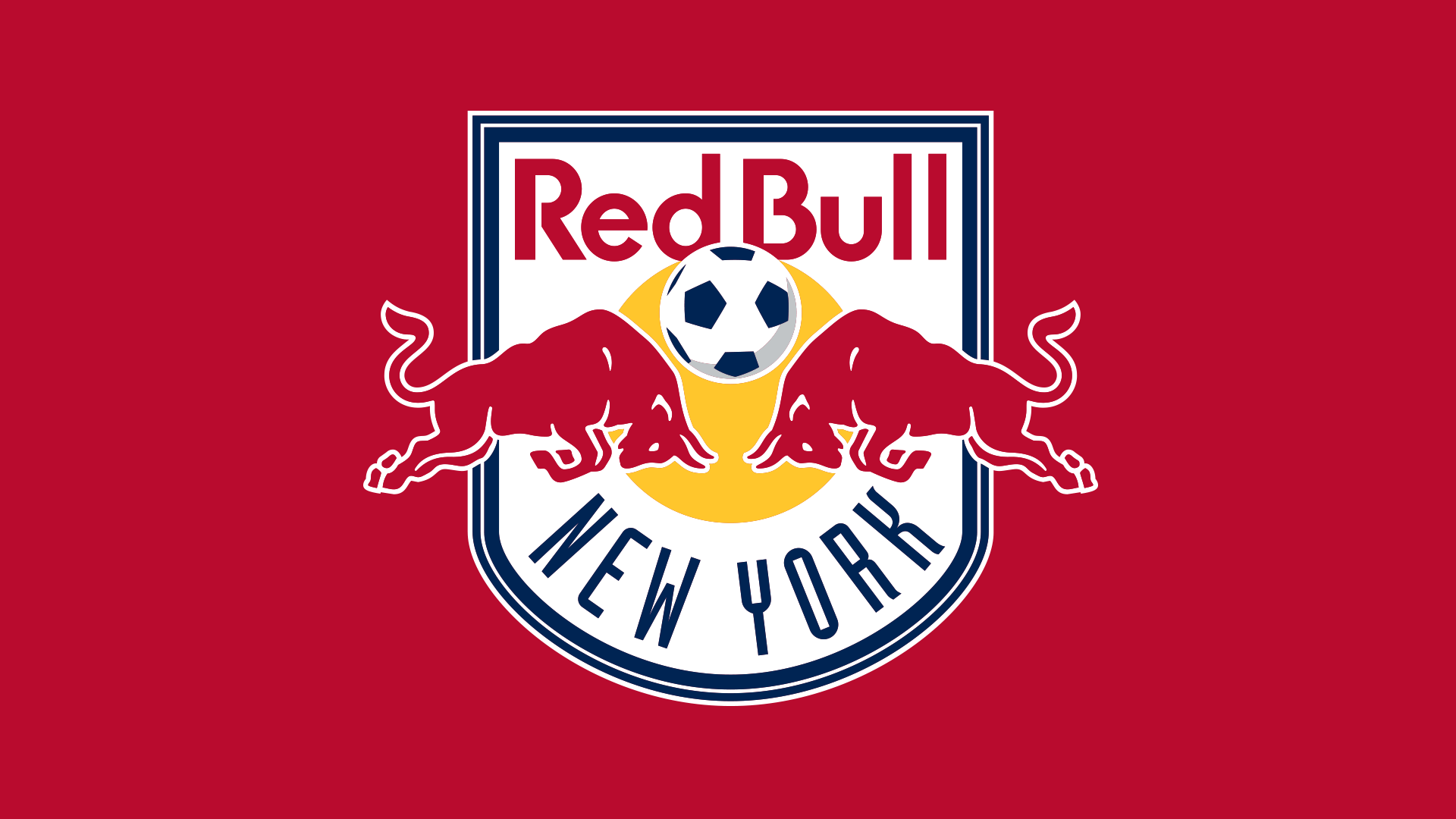 New York Red Bulls FC
